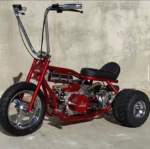 Custom Mini Trike